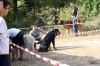 Filename=IMG_0642.jpg
Filesize=456KiB
Dimensions=1500x1000
Date added=%876 %16, %2017 IMG_0642.jpg