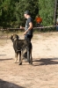 Filename=IMG_0653.jpg
Filesize=503KiB
Dimensions=1000x1500
Date added=%879 %16, %2017 IMG_0653.jpg
