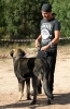 Filename=IMG_0654.jpg
Filesize=401KiB
Dimensions=988x1500
Date added=%879 %16, %2017 IMG_0654.jpg