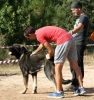 Filename=IMG_0656.jpg
Filesize=461KiB
Dimensions=1411x1500
Date added=%879 %16, %2017 IMG_0656.jpg