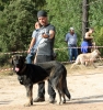 Filename=IMG_0657.jpg
Filesize=565KiB
Dimensions=1410x1500
Date added=%879 %16, %2017 IMG_0657.jpg