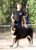 Filename=IMG_0698.jpg
Filesize=316KiB
Dimensions=1066x1500
Date added=%888 %16, %2017 IMG_0698.jpg
