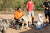 Filename=IMG_0705.jpg
Filesize=385KiB
Dimensions=1500x1000
Date added=%888 %16, %2017 IMG_0705.jpg