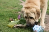 Filename=I_like_flowers.jpg
Filesize=289KiB
Dimensions=834x556
Date added=%840 %03, %2008 I_like_flowers.jpg