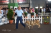 Filename=Icaro_muy_CM.jpg
Filesize=226KiB
Dimensions=1772x1181
Date added=%505 %16, %2015 Icaro_muy_CM.jpg
