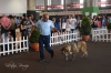 Filename=Icaro_muy_CM__.jpg
Filesize=325KiB
Dimensions=1772x1181
Date added=%497 %16, %2015 Icaro_muy_CM__.jpg