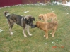Filename=Igl+Sofie+Neron20_11.jpg
Filesize=23KiB
Dimensions=448x336
Date added=%471 %24, %2006 Igl+Sofie+Neron20_11.jpg