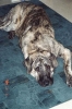 Filename=Image016_16.jpg
Filesize=53KiB
Dimensions=600x900
Date added=%893 %04, %2006 Image016_16.jpg