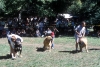 Filename=Image11.jpg
Filesize=136KiB
Dimensions=1000x675
Date added=%830 %21, %2010 Image11.jpg