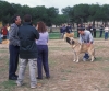 Filename=Image13~0.jpg
Filesize=135KiB
Dimensions=1200x998
Date added=%813 %12, %2012 Image13~0.jpg