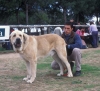 Filename=Image14a.jpg
Filesize=127KiB
Dimensions=1200x1096
Date added=%808 %12, %2012 Image14a.jpg