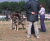Filename=Image15~0.jpg
Filesize=141KiB
Dimensions=1200x994
Date added=%815 %13, %2012 Image15~0.jpg