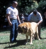 Filename=Image25b.jpg
Filesize=208KiB
Dimensions=1395x1500
Date added=%805 %04, %2011 Image25b.jpg
