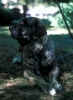 Filename=Image26~0.jpg
Filesize=62KiB
Dimensions=734x1000
Date added=%829 %30, %2010 Image26~0.jpg