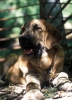 Filename=Image32~0.jpg
Filesize=62KiB
Dimensions=724x1000
Date added=%829 %30, %2010 Image32~0.jpg