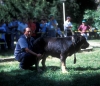 Filename=Image34-truman~0.jpg
Filesize=84KiB
Dimensions=1000x861
Date added=%831 %30, %2010 Image34-truman~0.jpg