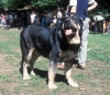 Filename=Image37-ulises.jpg
Filesize=107KiB
Dimensions=1000x864
Date added=%827 %21, %2010 Image37-ulises.jpg