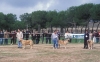 Filename=Image3a.jpg
Filesize=108KiB
Dimensions=1200x747
Date added=%896 %11, %2012 Image3a.jpg