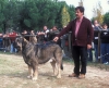 Filename=Image4a.jpg
Filesize=125KiB
Dimensions=1200x982
Date added=%895 %11, %2012 Image4a.jpg