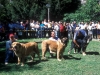 Filename=Image6.jpg
Filesize=140KiB
Dimensions=1000x757
Date added=%154 %21, %2010 Image6.jpg