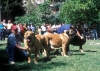 Filename=Image7.jpg
Filesize=138KiB
Dimensions=1000x719
Date added=%163 %21, %2010 Image7.jpg