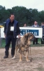 Filename=Image7~0.jpg
Filesize=84KiB
Dimensions=767x1200
Date added=%915 %11, %2012 Image7~0.jpg
