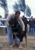 Filename=Image8~0.jpg
Filesize=99KiB
Dimensions=860x1200
Date added=%939 %28, %2012 Image8~0.jpg