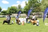 Filename=Intermedia_Hembras.jpg
Filesize=847KiB
Dimensions=1944x1296
Date added=%559 %06, %2018 Intermedia_Hembras.jpg