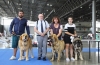 Filename=International_dog_show_in_Brno.jpg
Filesize=290KiB
Dimensions=1153x759
Date added=%889 %08, %2019 International_dog_show_in_Brno.jpg