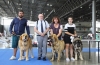 International_dog_show_in_Brno.jpg