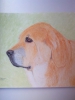 Filename=Isabelle_de_Kerbilio.jpg
Filesize=55KiB
Dimensions=720x960
Date added=%733 %07, %2014 Isabelle_de_Kerbilio.jpg