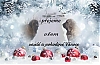Filename=Jana_Lavingrova.jpg
Filesize=48KiB
Dimensions=612x400
Date added=%028 %31, %2020 Jana_Lavingrova.jpg