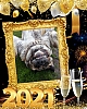Filename=Jana_Lavingrova_new_year.jpg
Filesize=204KiB
Dimensions=965x1200
Date added=%028 %31, %2020 Jana_Lavingrova_new_year.jpg