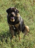 Filename=Jocelyn.jpg
Filesize=62KiB
Dimensions=436x598
Date added=%755 %04, %2016 Jocelyn.jpg