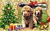 Filename=Jose_Mastin_de_Loredo.jpg
Filesize=310KiB
Dimensions=1171x720
Date added=%048 %01, %2021 Jose_Mastin_de_Loredo.jpg