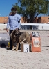 Filename=Jovenes_hembras2Cm.jpg
Filesize=105KiB
Dimensions=691x960
Date added=%841 %22, %2019 Jovenes_hembras2Cm.jpg