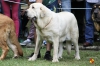 Filename=Julia_de_Loredo_AH.jpg
Filesize=88KiB
Dimensions=960x640
Date added=%987 %27, %2014 Julia_de_Loredo_AH.jpg