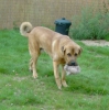 Filename=KIF_3090net.jpg
Filesize=28KiB
Dimensions=540x545
Date added=%704 %06, %2006 KIF_3090net.jpg