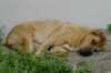 Filename=KIF_3096net.jpg
Filesize=17KiB
Dimensions=540x359
Date added=%705 %06, %2006 KIF_3096net.jpg