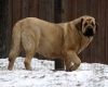 Filename=Kally-4.jpg
Filesize=52KiB
Dimensions=800x642
Date added=%721 %14, %2011 Kally-4.jpg