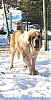 Filename=Keli_9_5_years.jpg
Filesize=101KiB
Dimensions=550x1070
Date added=%746 %31, %2021 Keli_9_5_years.jpg