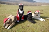 Filename=Koke_Garcia_esp_xmas14.jpg
Filesize=151KiB
Dimensions=960x638
Date added=%856 %24, %2014 Koke_Garcia_esp_xmas14.jpg