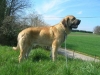 Filename=Kro9-mois1.jpg
Filesize=34KiB
Dimensions=509x382
Date added=%735 %09, %2007 Kro9-mois1.jpg