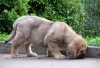 Filename=L41.jpg
Filesize=37KiB
Dimensions=600x412
Date added=%410 %03, %2006 L41.jpg