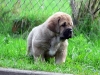Filename=L5.jpg
Filesize=48KiB
Dimensions=600x452
Date added=%410 %03, %2006 L5.jpg