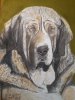 Filename=LADY_DE_PARAMERAS_Y_ALCARRIAS.jpg
Filesize=148KiB
Dimensions=720x960
Date added=%905 %10, %2019 LADY_DE_PARAMERAS_Y_ALCARRIAS.jpg