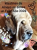 Filename=LNAYO_2020.jpg
Filesize=112KiB
Dimensions=720x959
Date added=%927 %31, %2020 LNAYO_2020.jpg