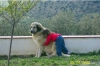 Filename=Laura_y_Thor.jpg
Filesize=46KiB
Dimensions=633x418
Date added=%399 %06, %2008 Laura_y_Thor.jpg