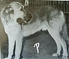 Filename=Leon2C1974.jpg
Filesize=63KiB
Dimensions=1080x925
Date added=%990 %08, %2021 Leon2C1974.jpg