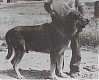 Filename=Leon2C_1984.jpg
Filesize=56KiB
Dimensions=855x689
Date added=%983 %08, %2021 Leon2C_1984.jpg